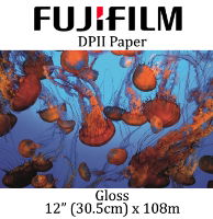 Fuji DPII 30.5cm (12") x 108m Gloss