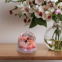 Adventa Snow Globe Heart